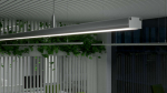 Lumines profile type Sileda lacquered white, 3 m